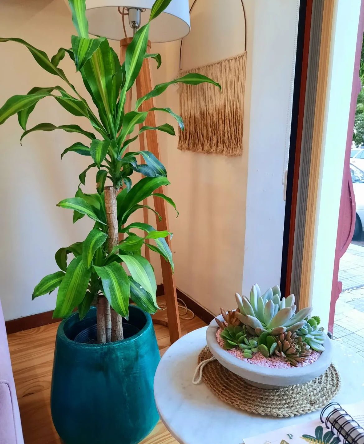 image7(3)
