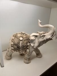 Elefante