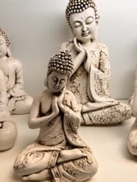 Buda Prana