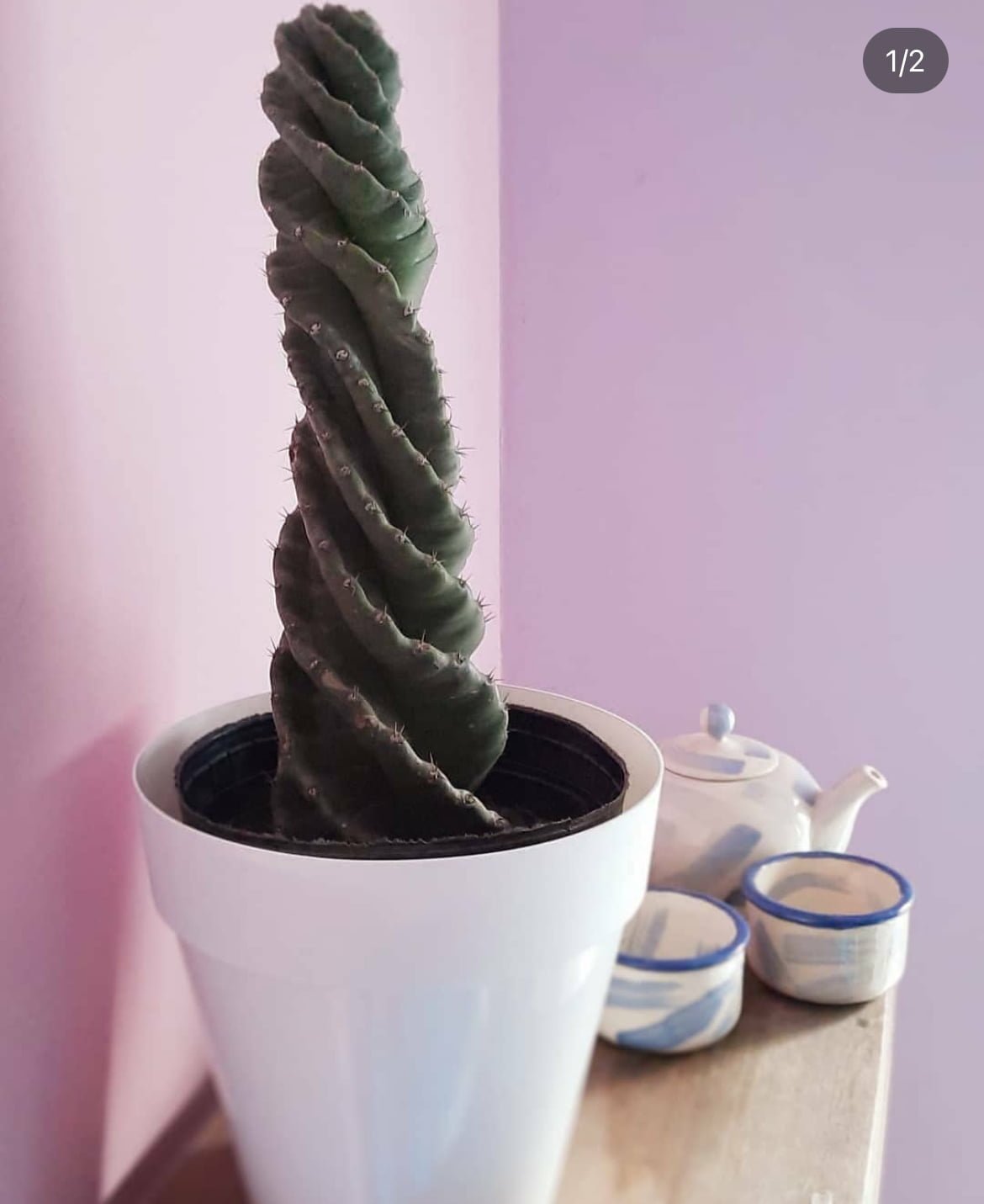 image3(14)