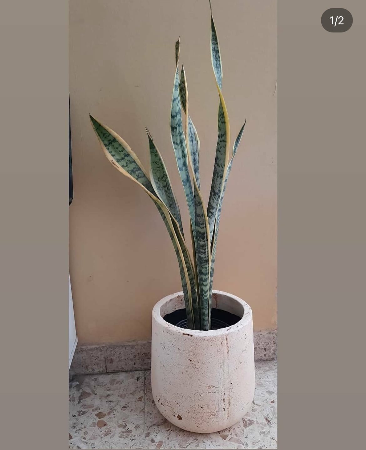 image3(16)