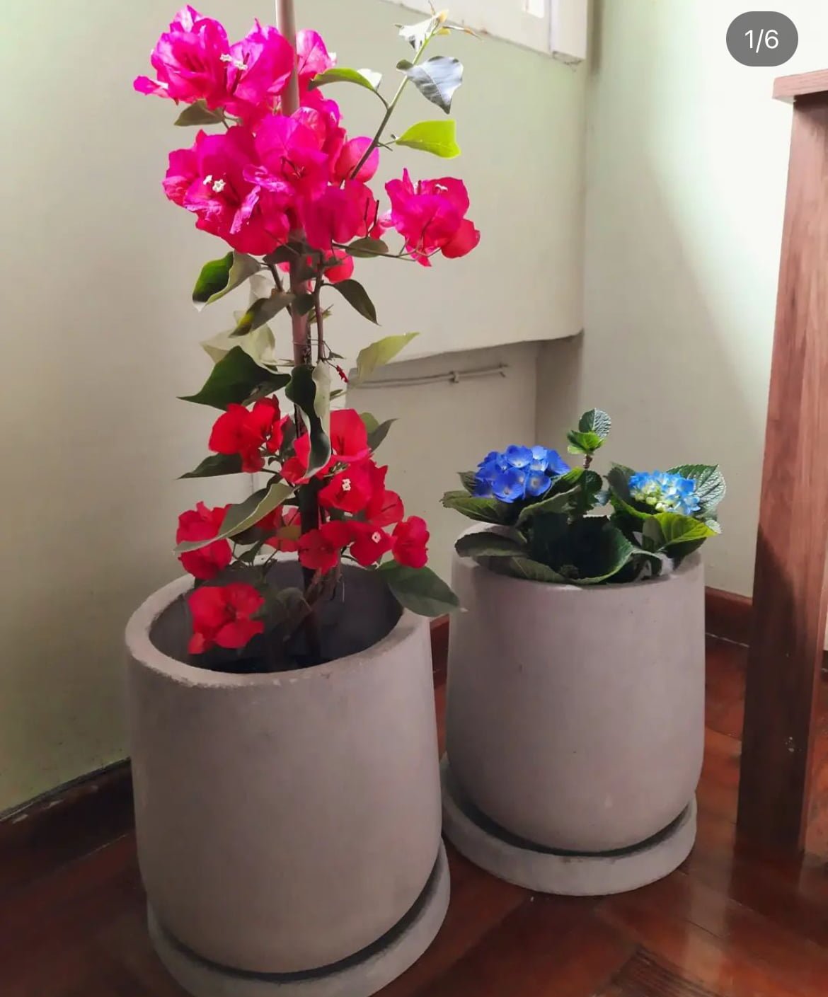 image3(19)