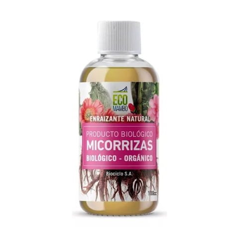 micorrizas